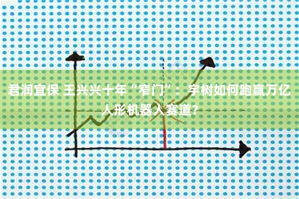 君润宜保 王兴兴十年“窄门”：宇树如何跑赢万亿人形机器人赛道？