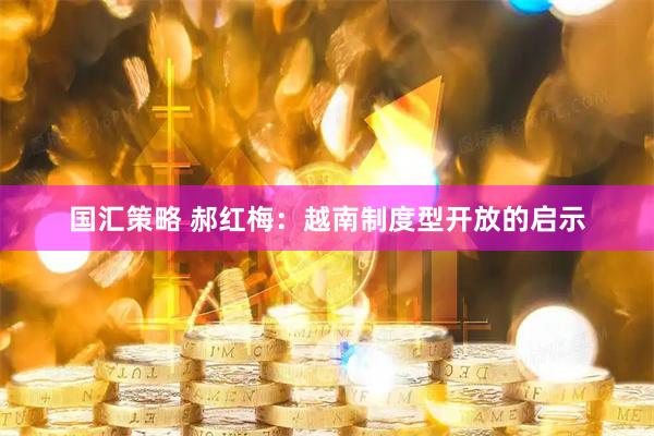 国汇策略 郝红梅：越南制度型开放的启示