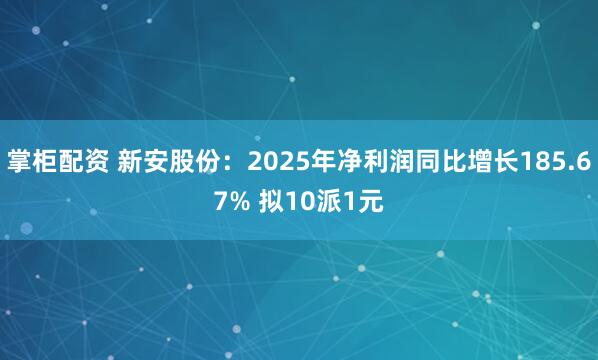 掌柜配资 新安股份：2025年净利润同比增长185.67% 拟10派1元