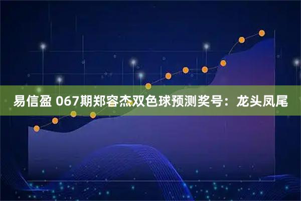 易信盈 067期郑容杰双色球预测奖号：龙头凤尾