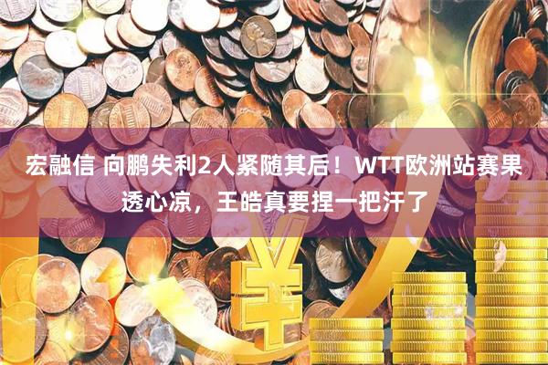 宏融信 向鹏失利2人紧随其后！WTT欧洲站赛果透心凉，王皓真要捏一把汗了